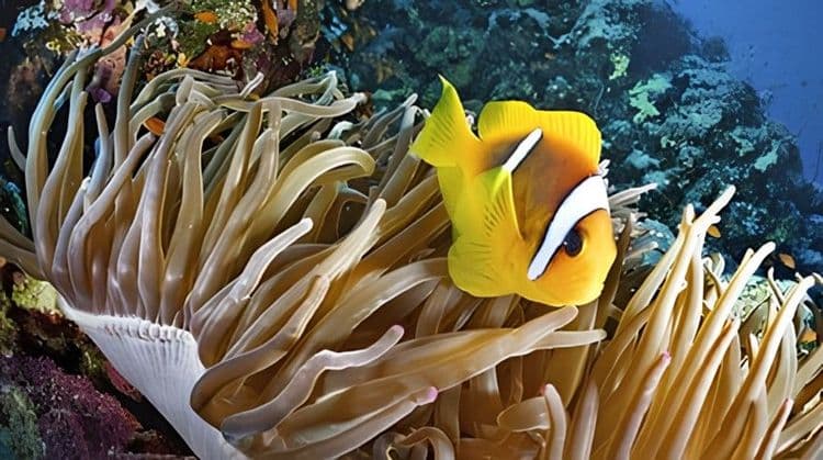Behind The Scenes At The Aquarium