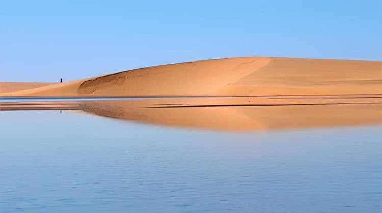 Fun In The Dunes