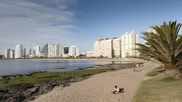 Discover City Tour Punta Del Este & Ralli Museum