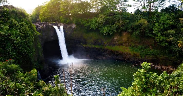 Best of Hilo