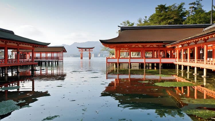 Hiroshima and Miyajima Full day with Western Lunch