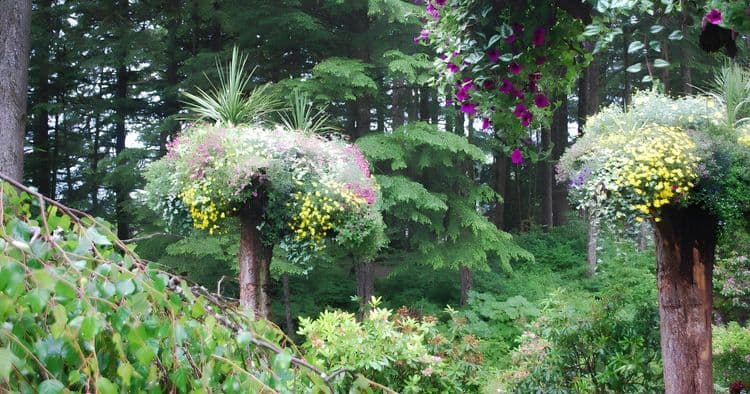 Mendenhall Glacier & Gardens Tour