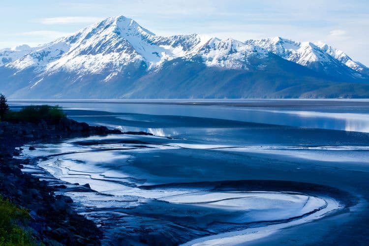 Turnagain Arm, Wildlife Conservation Center & Tram With Airport Transfer