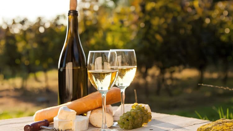Tuscan Farmhouse Experience