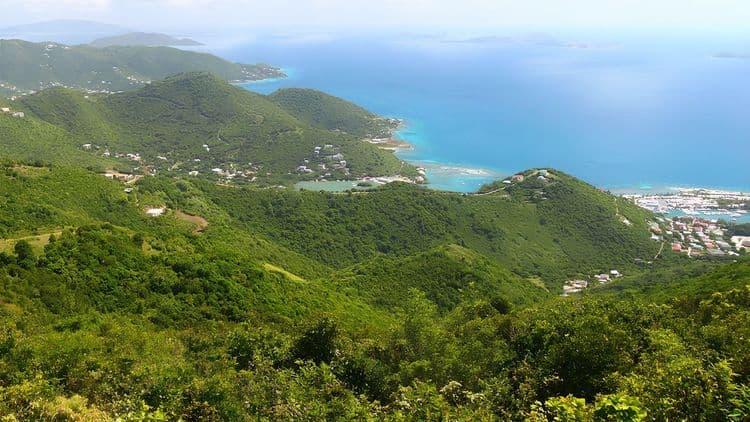 Forest Hike and Beach