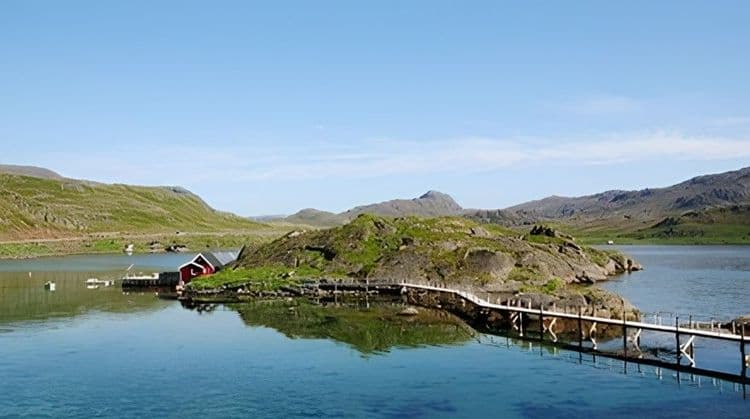Photo Safari on Magerøy Island
