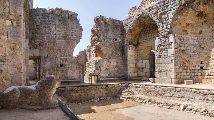 Ephesus Didyma and Miletus with Lunch