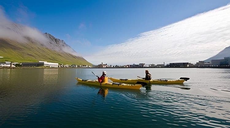 Calm Fjord Kayaking