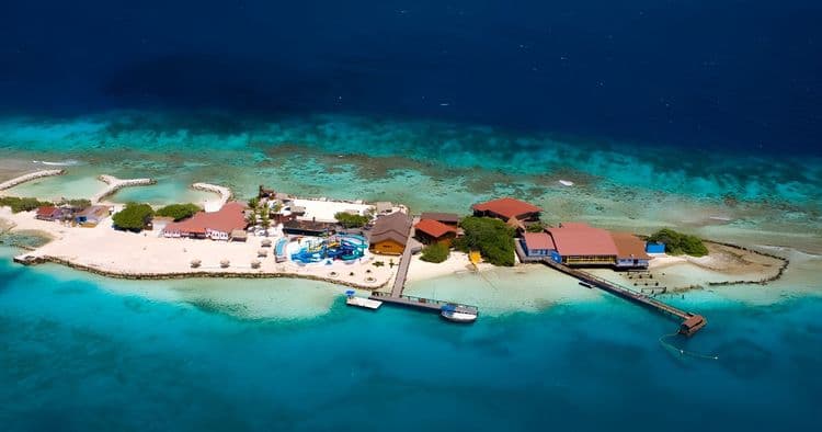 Bubble Tour: De Palm Island Beach Day & Buffet