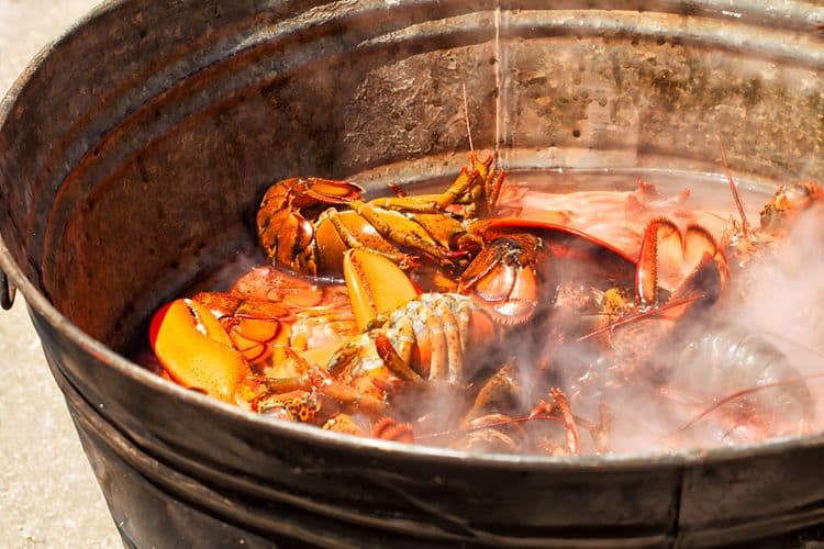 Maine Lobster Bake On Peaks Island