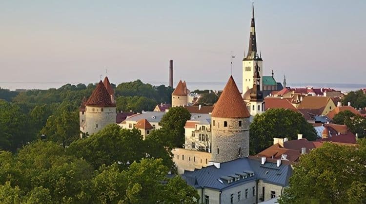 Tallinn Highlight