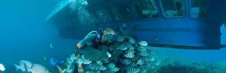Cayman Islands Shipwrecks By Semi-Sub & National Museum