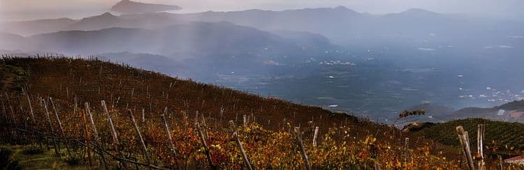 Countryside Drive & Wine Tasting: In Partnership With Food & Wine Magazine