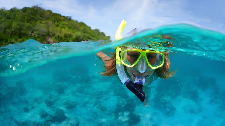 Snorkel the Treasures of Caracas Bay