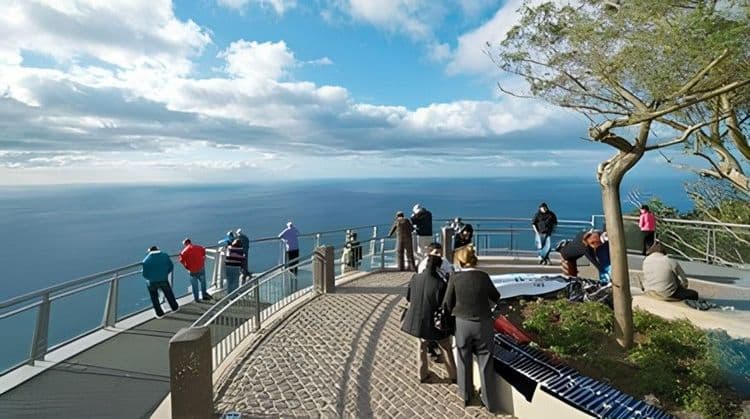 Sights Of Funchal And Free Time