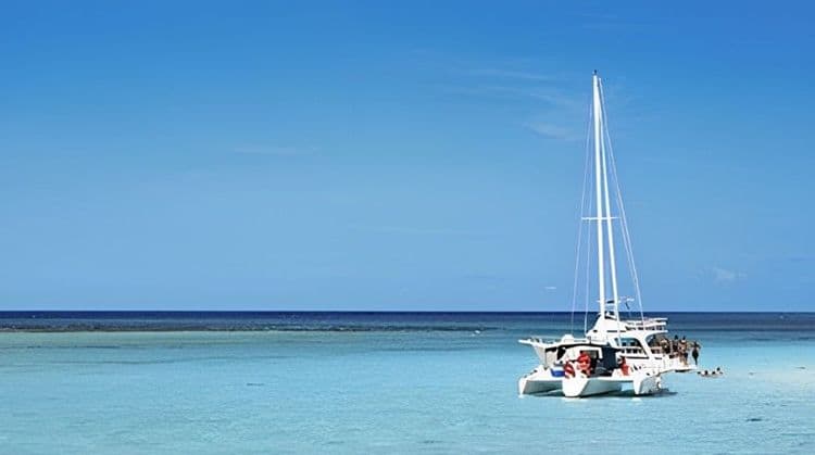 Catamaran & Turtle Snorkel