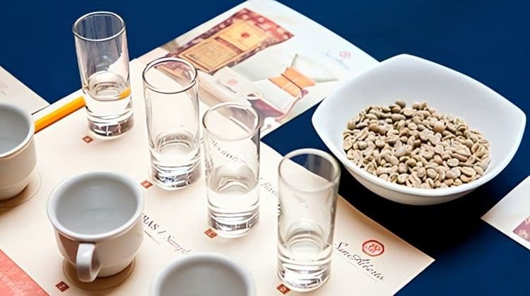 Colombian Coffee Experience