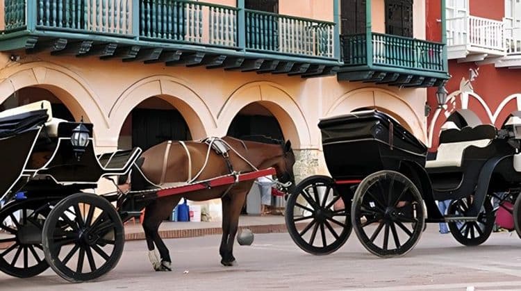 Cartagena By Horse & Carriage