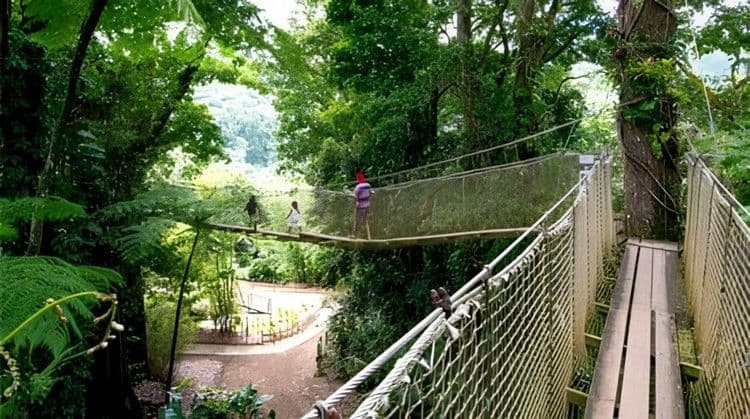 Botanical Garden And Its Suspension Bridge For Disembarking Guests