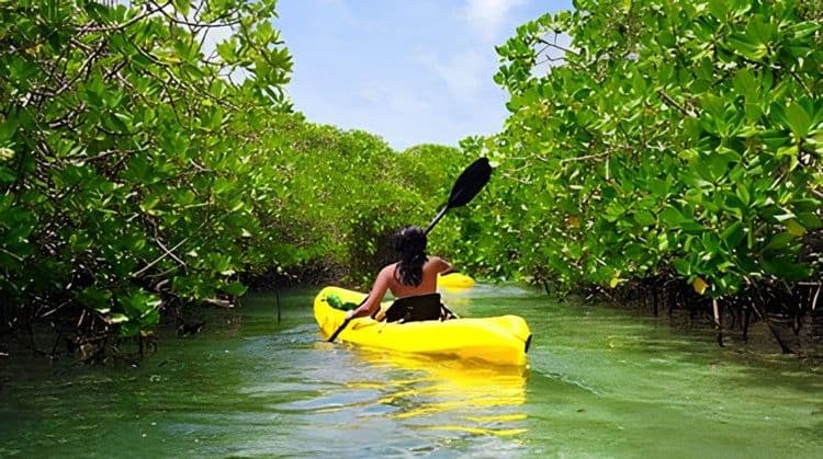 Kayak, Hike & Snorkel Of Cas Cay
