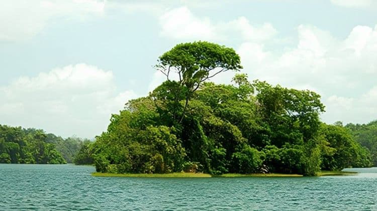 Eco Cruise On Gatun Lake