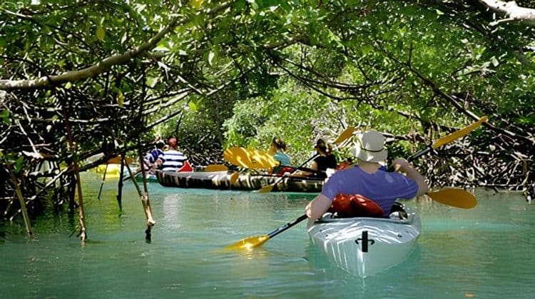 Kayak, Gold Rock Beach, And Garden Tour