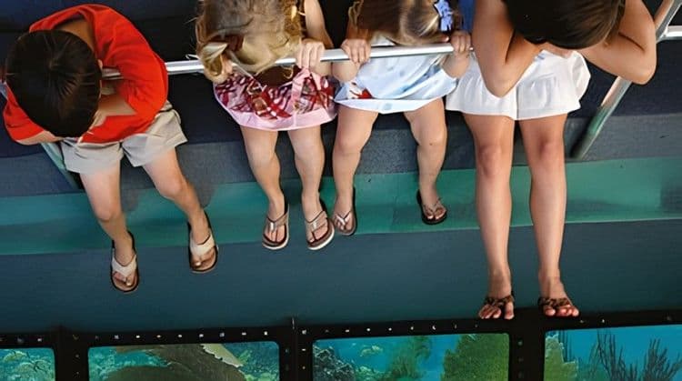 Glass Bottom Boat
