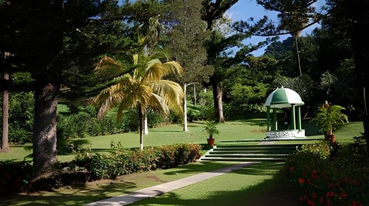 Best Of Saint Vincent