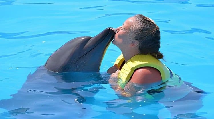 Dolphin Encounter & Dunn’s River Falls