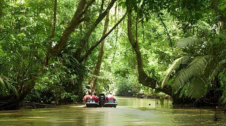 The Tortuguero Canal