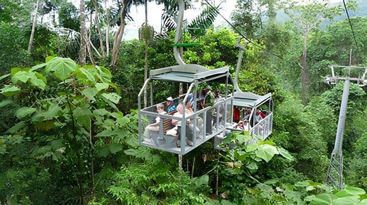 Veragua Rainforest & Aerial Tram