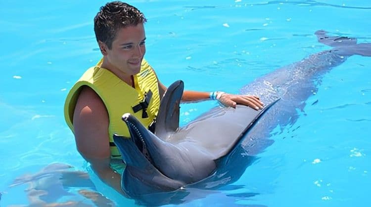 Dolphin Encounter & Ocean World Adventure