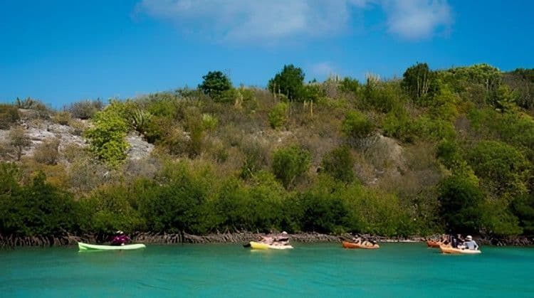 Kayak & Snorkel Tour