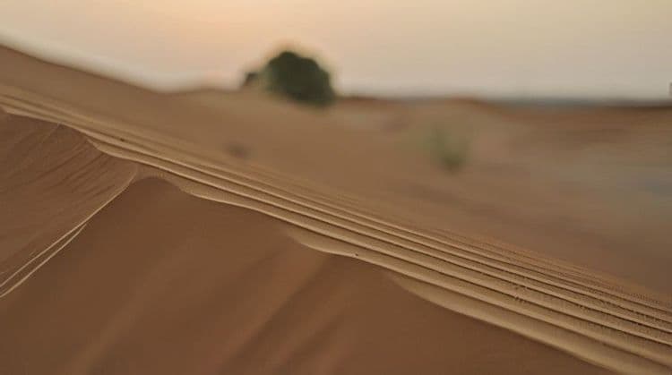 Desert Dune Adventure for Fully Vaccinated Guests