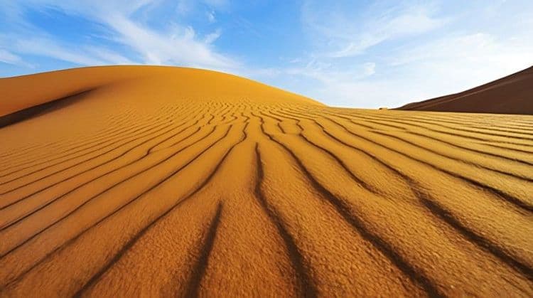 Desert Safari & Relax at the Beach