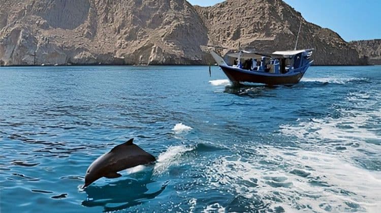 Dhow Cruise to Fjords