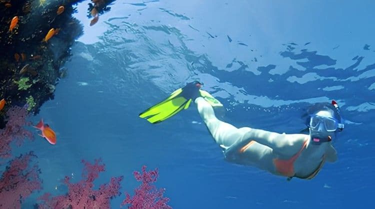 Fishing & Snorkeling Trip