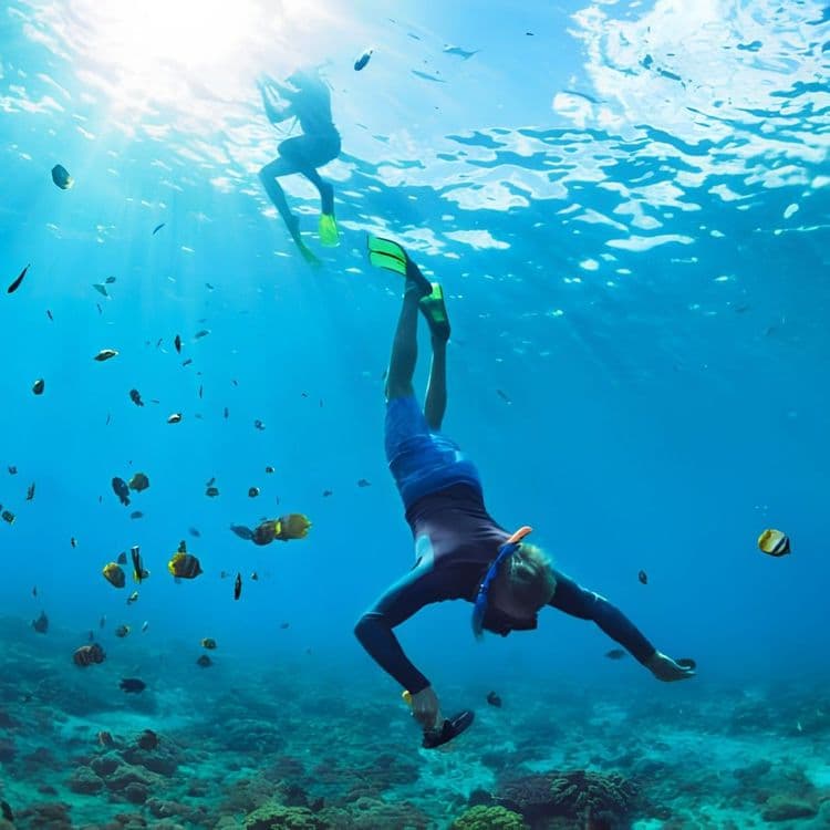 Treasure Point snorkel, Tortola