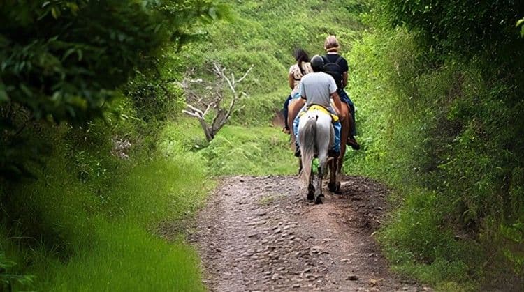 Bacab Eco Park & Horseback Safari