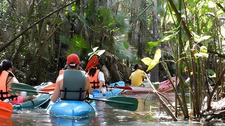 Bacab Eco Park & Kayak Creek Expedition