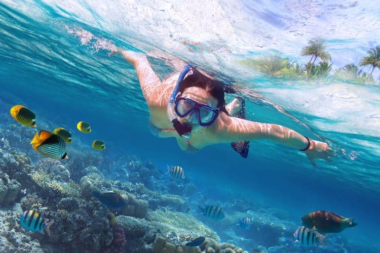 Labadee Snorkel Safari