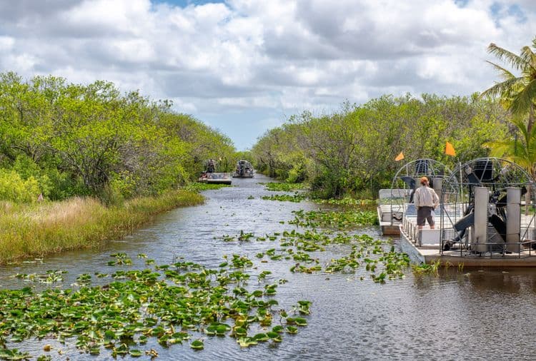 Everglades Eco-Adventure with Airport Drop-Off (MIA)