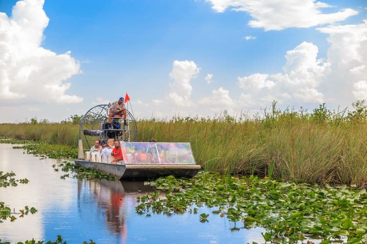 Everglades Eco-Adventure with Airport Drop-Off (FLL)