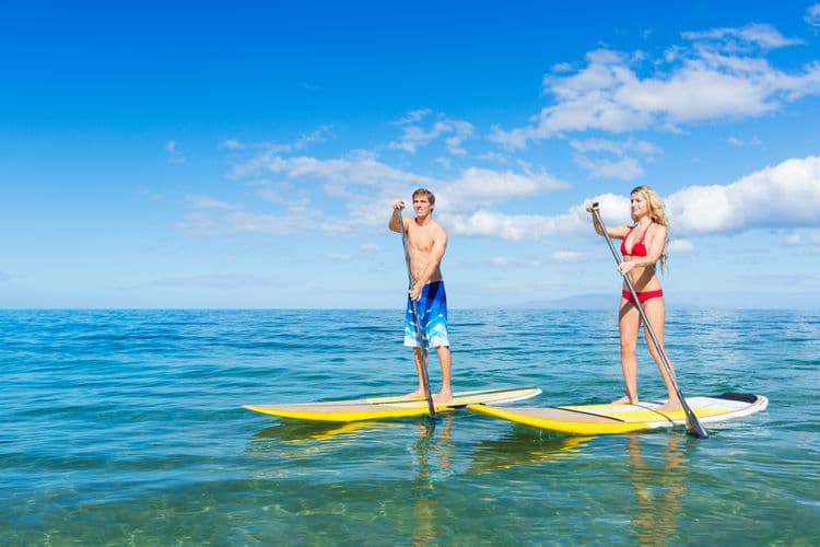 Stand-Up Paddle Board Rental