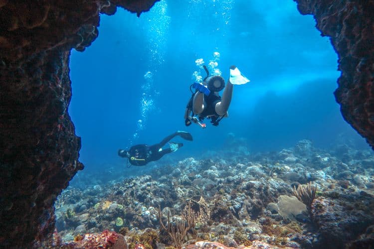 Discover Scuba Diving