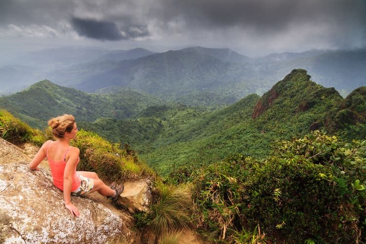 El Yunque Rainforest and Portal Experience