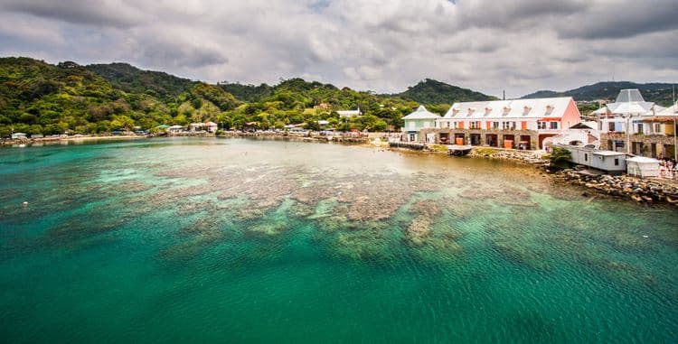 Roatan Island Tour and Beach