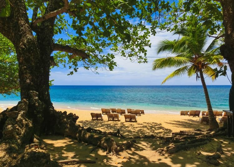 Bob Marley's Reggae Land & Bamboo Beach Break with Lunch
