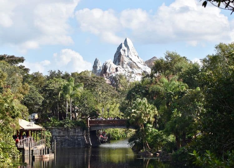 Disney World Express Service (Transportation Only)