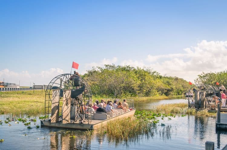 Everglades Adventure